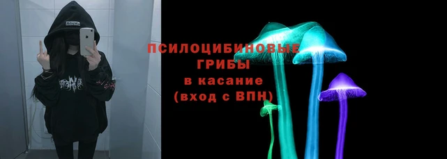 мяу мяу мука Карабаш