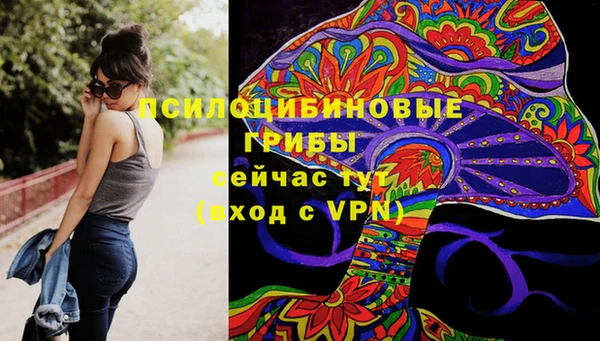 мяу мяу мука Карабаш